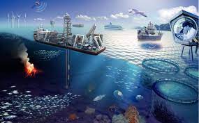 Pembajakan Laut dan Ekosistem Maritim Keseimbangan Terancam